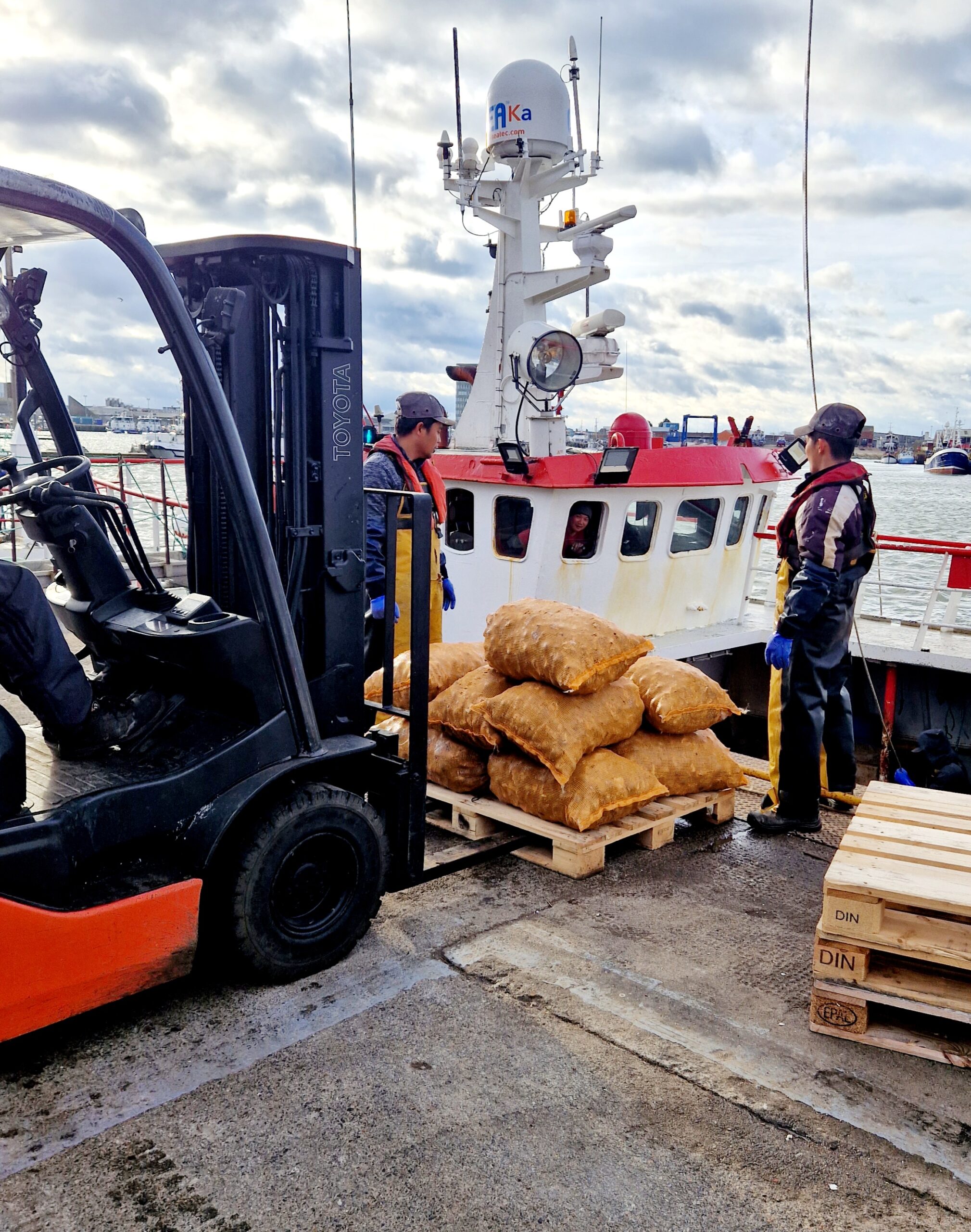 Sacs de bulots sur palette prêts à être transportés par chariot élévateur vers un véhicule de stockage ou de livraison